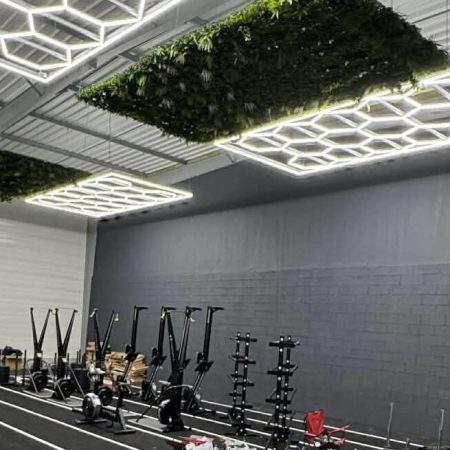 Hyrox Crossfit Reveal